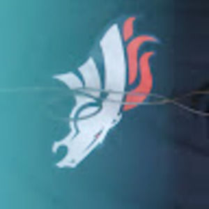 Meet your Posher, Sergio